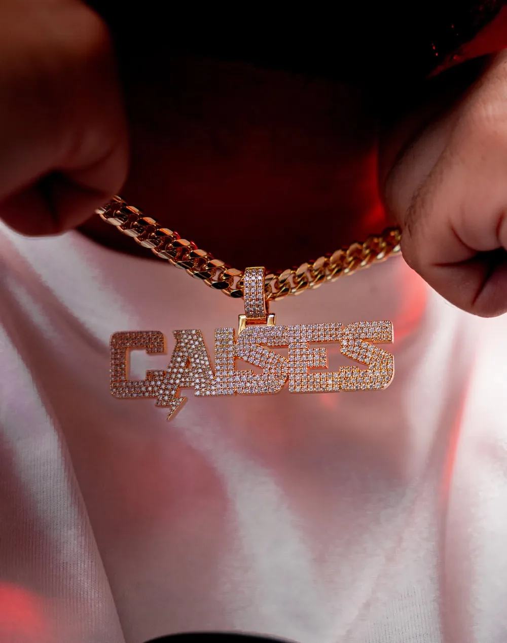 Macro detail of the CAISES name chain