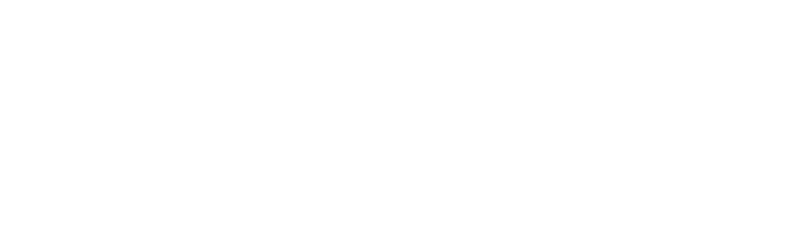 DJ Caises